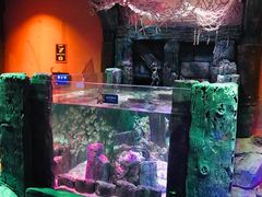 -沈阳海洋探索中心