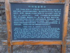 -牛郎织女景区