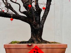 -龙华寺