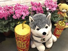 -菩提树·素食餐厅(汇智国际商业中心店)