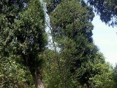 android_upload_pic-金堂县云顶石城风景区