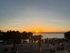 -宝安西湾红树林湿地公园