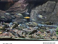 -重庆欢乐海底世界