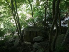 -北京上方山国家森林公园