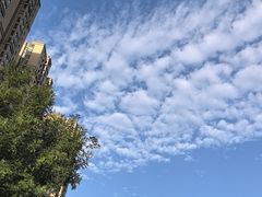 -日月昇渔家菜·海肠捞饭·大连海鲜(星海公园店)