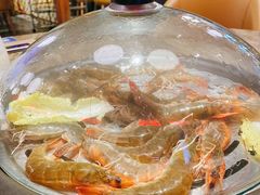 -日进一片海.生腌海鲜火锅.宵夜烧烤(三里屯总店)