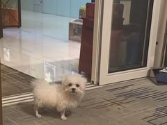 -脑洞先生非恐剧情密室(五一店)