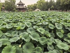 -莲池书院博物馆