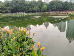 -南宁南湖公园