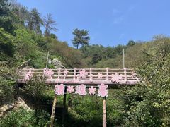 -姚家山旅游风景区