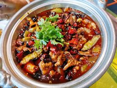 馋嘴牛蛙-辛香汇(飞洲店)