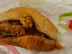 麦辣鸡腿汉-麦当劳(凌云天地长桥店)