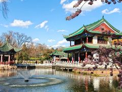 -翠湖公园