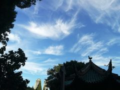 -叶家花园
