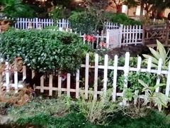 -聚福宝合苑食府(南头镇店)