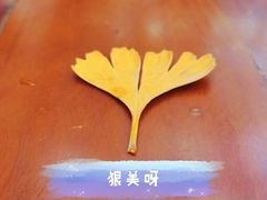 -少林寺欢喜地素斋馆