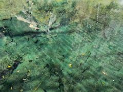 -叠溪松坪沟景区