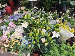 -循礼门鲜花花市(武汉循礼门店)