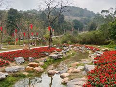 -黄埔油麻山森林公园