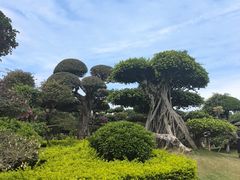 -南宁南湖公园