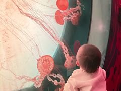 -沈阳海洋探索中心