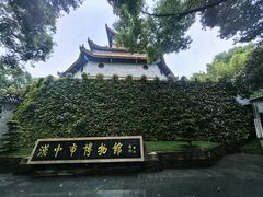 -张明富面皮店(东大街店)