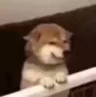 -还是那家•秘制活鱼现烤•香辣美蛙(独墅湖邻里中心店)