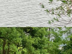 -东湖落雁景区