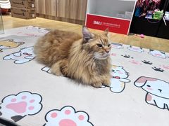 -海底捞火锅(西安路店)