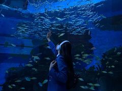 -海合安成都极地海洋公园