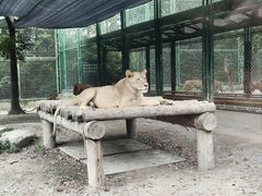 -上海野生动物园