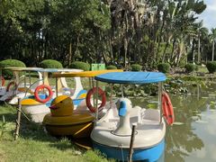 -东南花都花博园