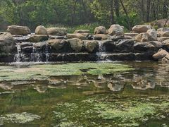 -白水寺森林公园