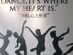 -苏菲艺术教育 | 芭蕾·钢琴(南山书城校区)