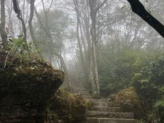 -山王坪喀斯特国家生态公园