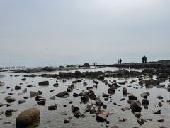 -青岛第二海水浴场