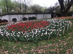 -无锡梅园公园