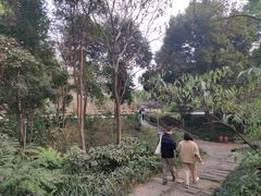 -成都市活水公园