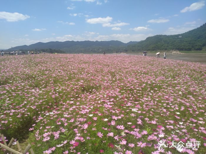 木洞河街图片