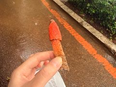 -丁香湖公园