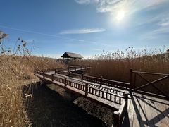 -野鸭湖国家湿地公园