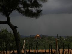 -磬锤峰森林公园