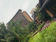 -三亚湾红树林度假世界(木棉酒店)
