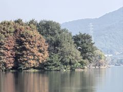 -湘湖大院(越王路店)