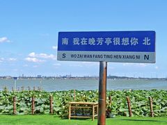 -七的湖·晚芳亭·阳澄湖农家菜·大闸蟹(莲花岛店)