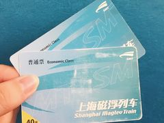 -龙阳路磁悬浮列车总站-停车场