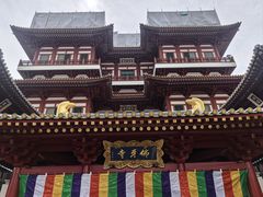 -新加坡佛牙寺龙华院
