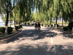 -丁香湖公园