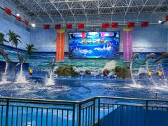 -多彩贵州城极地海洋世界