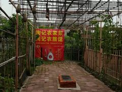 -润记农家菜